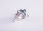 Imagen de REGULADOR PRESION CHEVROLET CORSA 1.6 MPFI 99 EN ADELANTE